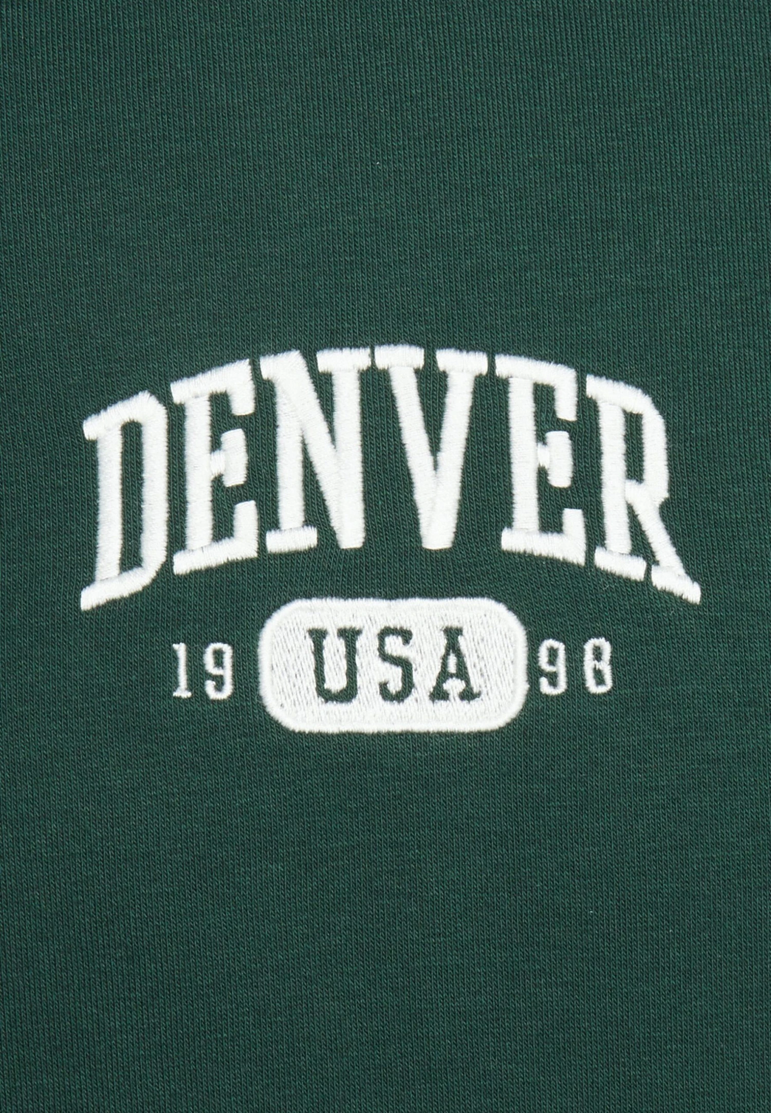 Pier One Denver College Hoodie- Sweater - Green 5 Pier One Denver College Hoodie- Sweater - Green - Afbeelding 3